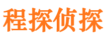 柳南市私家侦探